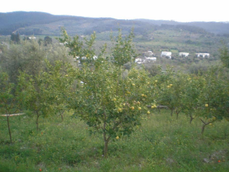 Parco Dei Limoni Casa de hóspedes Peschici Exterior foto