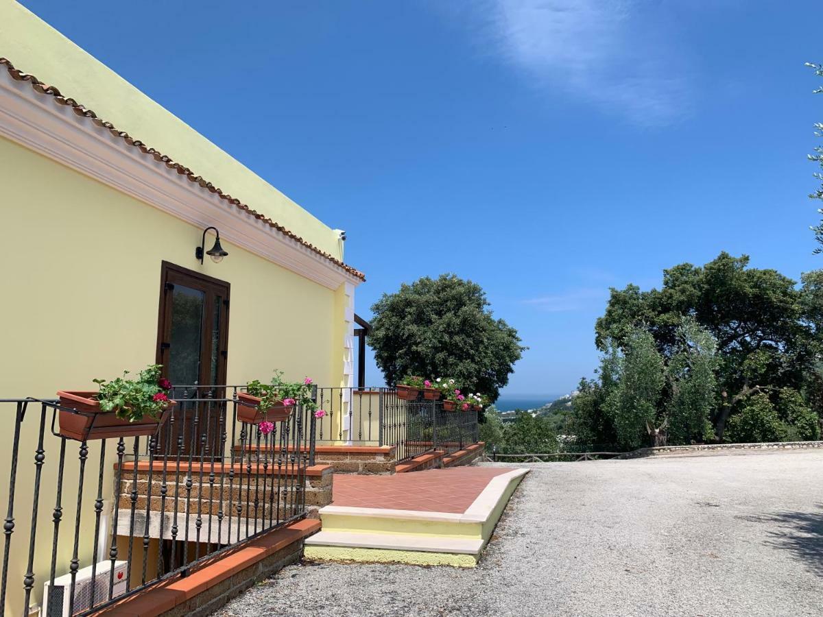 Parco Dei Limoni Casa de hóspedes Peschici Exterior foto